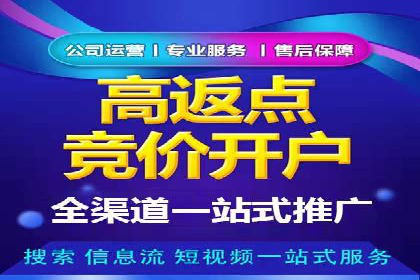百度广告推广的创意策略与效果分析